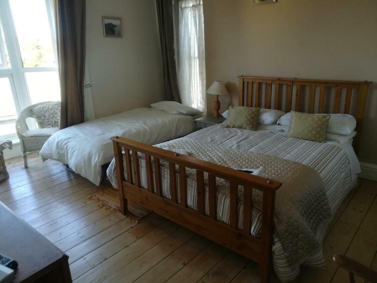 Y Garreg Wen Bed and Breakfast Llanybyther Exterior foto
