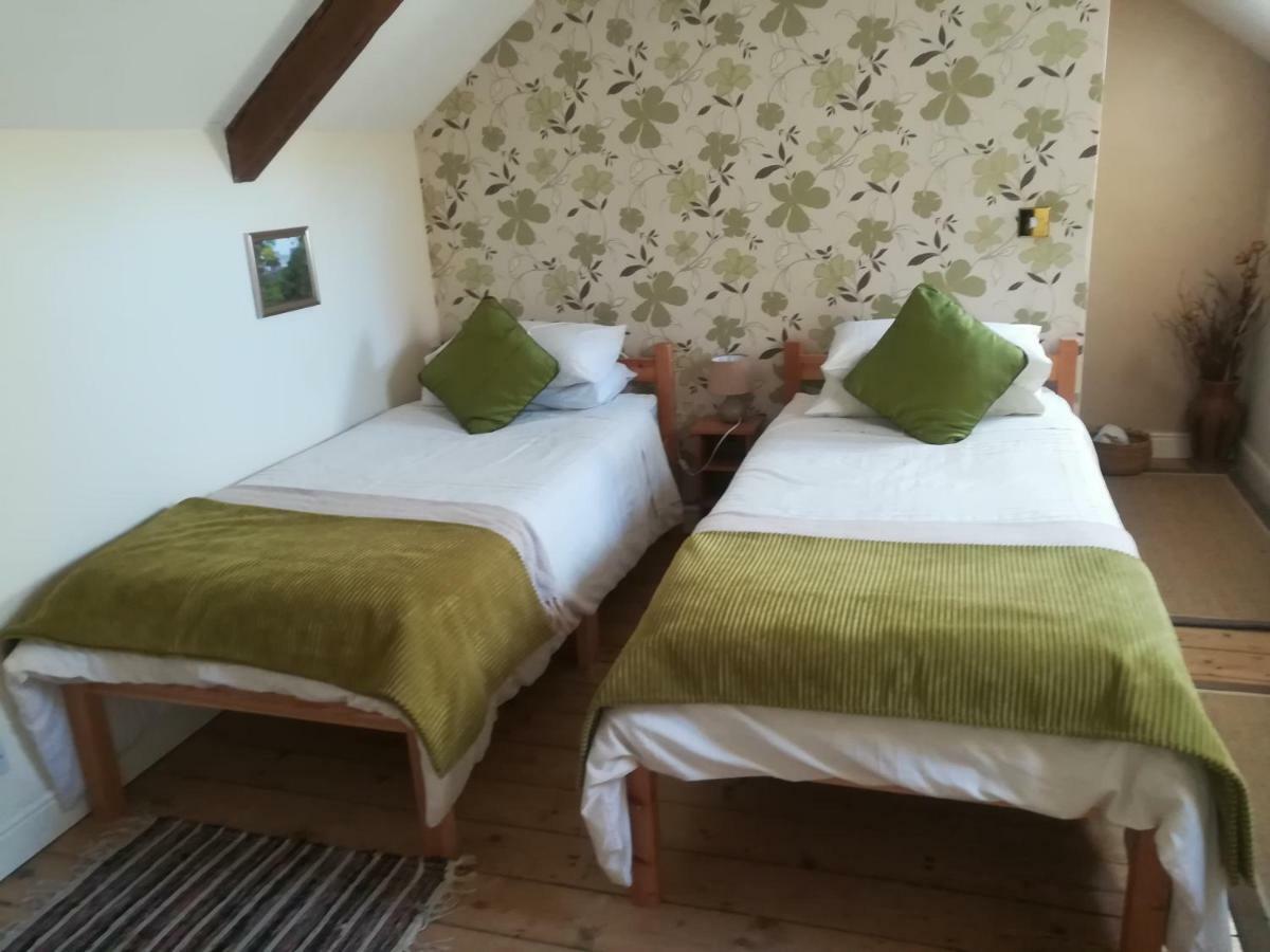 Y Garreg Wen Bed and Breakfast Llanybyther Exterior foto