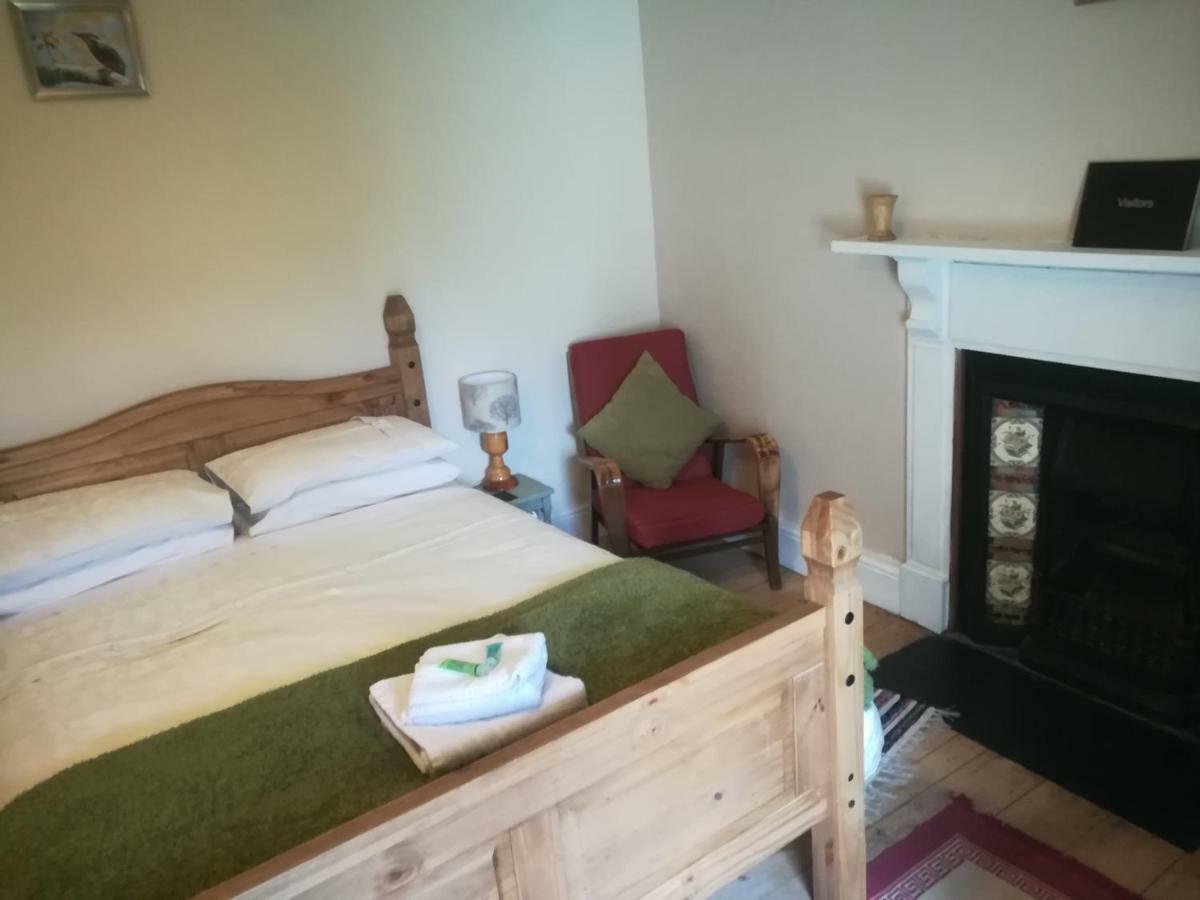 Y Garreg Wen Bed and Breakfast Llanybyther Exterior foto